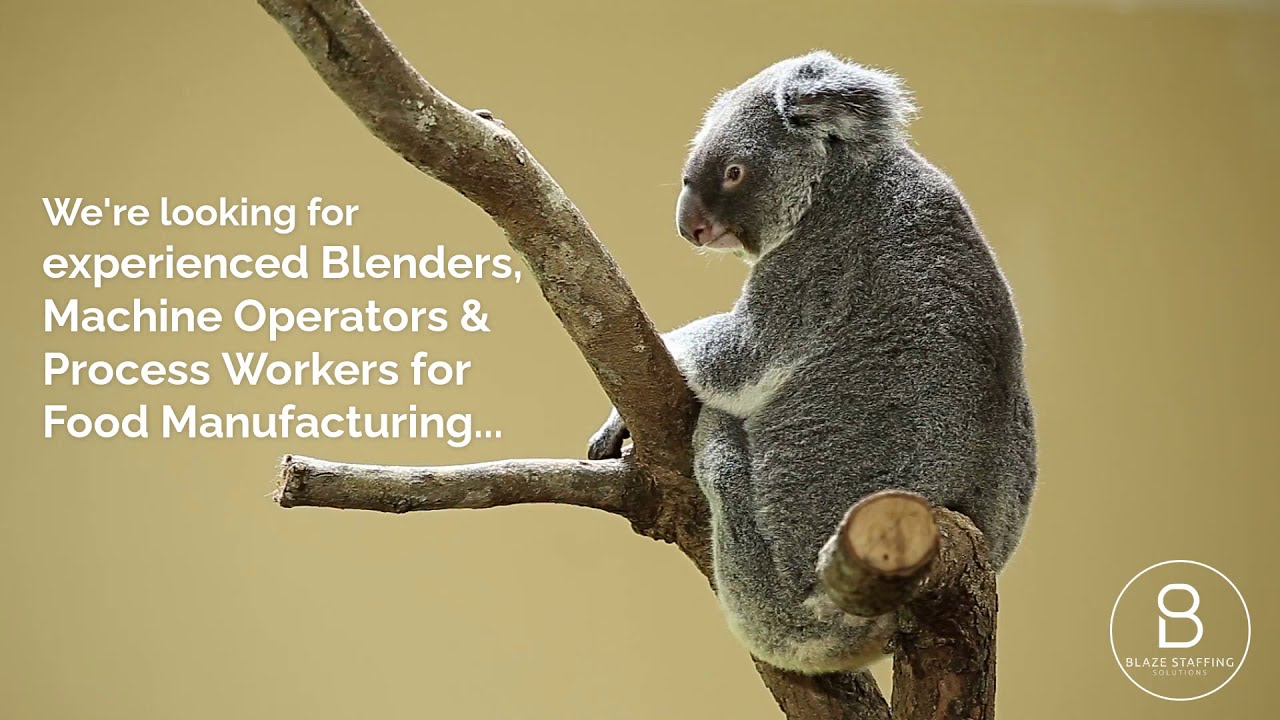 NOW HIRING Blenders, Machine Operators & Process Workers Food