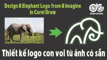 Vẽ logo con voi từ ảnh có sẵn | How To Design A Elephant  Logo In Corel Draw | Design Channel