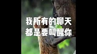 201707 我所有的聊天都是要叫醒你23145