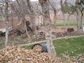 Beginning of video