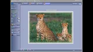 FotoMorph -демонстрация эффектов совмещения и Zoom фотографий screenshot 5
