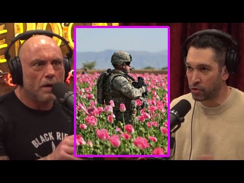 How Much H*roin Did the U.S. Produce in Afghanistan?