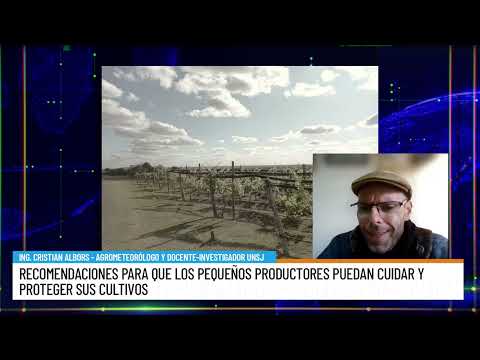 CROP CARE RECOMMENDATIONS ALBORS AGROMETEOROLOGIST temp