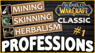 Classic Vanilla WoW Professions Overview/Guide: Skinning, Mining, Herbalism