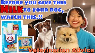 LACTOSE INTOLERANCE IN DOGS || HOW SAFE IS HUMAN MILK IN DOGS || DOC MJ