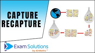 Capture Recapture | ExamSolutions