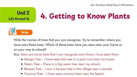 Getting To Know Plants | Class 3 EVS | Question Answer | Our Wondrous World | Chapter 4