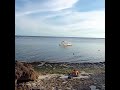 Tourist Island experience Philippines! #expatlife #travelshorts #asia-community #blackmans-views