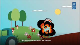 Biodiversity Conservation Strategy 2035: Ukraine Takes Action