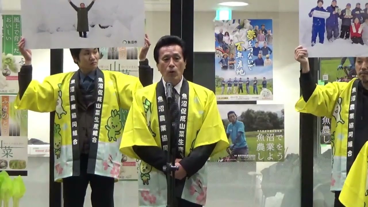 2026年2月5日JA魚沼 促成山菜トップセールス ｜ 東京シティ青果株式会社