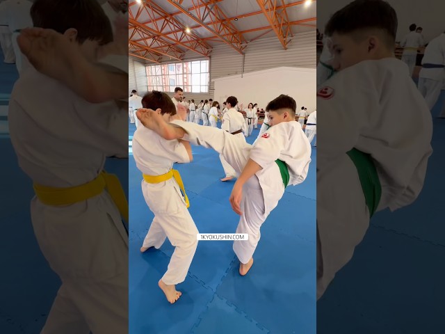 Cristian Boldut Fight Camp 2026 #kyokushin #shinkyokushin #karate #1kyokushin #一極真 #極真会館