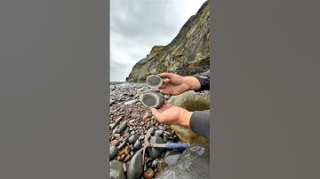 Here is a Jurassic rock that we found in a loose shale slab hunting for fossils and crystals 😍🦖⚒️