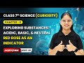 Exploring Substances: Acidic, Basic, and Neutral - Part 3 | Ch 2 | Class 7 Science (Curiosity)