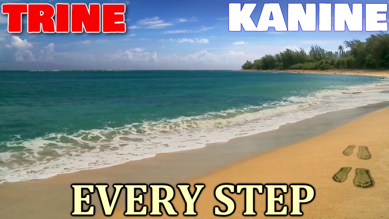 Watch Kanine X Trine - Every Step [KMJ Media X TenSence] on YouTube