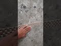 is ghr mai jin bhot dakhy ja skate ha is video ko like shir or comments #punjabi