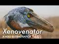 A Bizarre New Species of Head-Butting Raptor