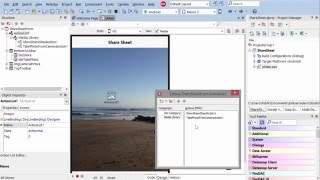 Delphi: Taking and Sharing Pictures and Text (iOS and Android)