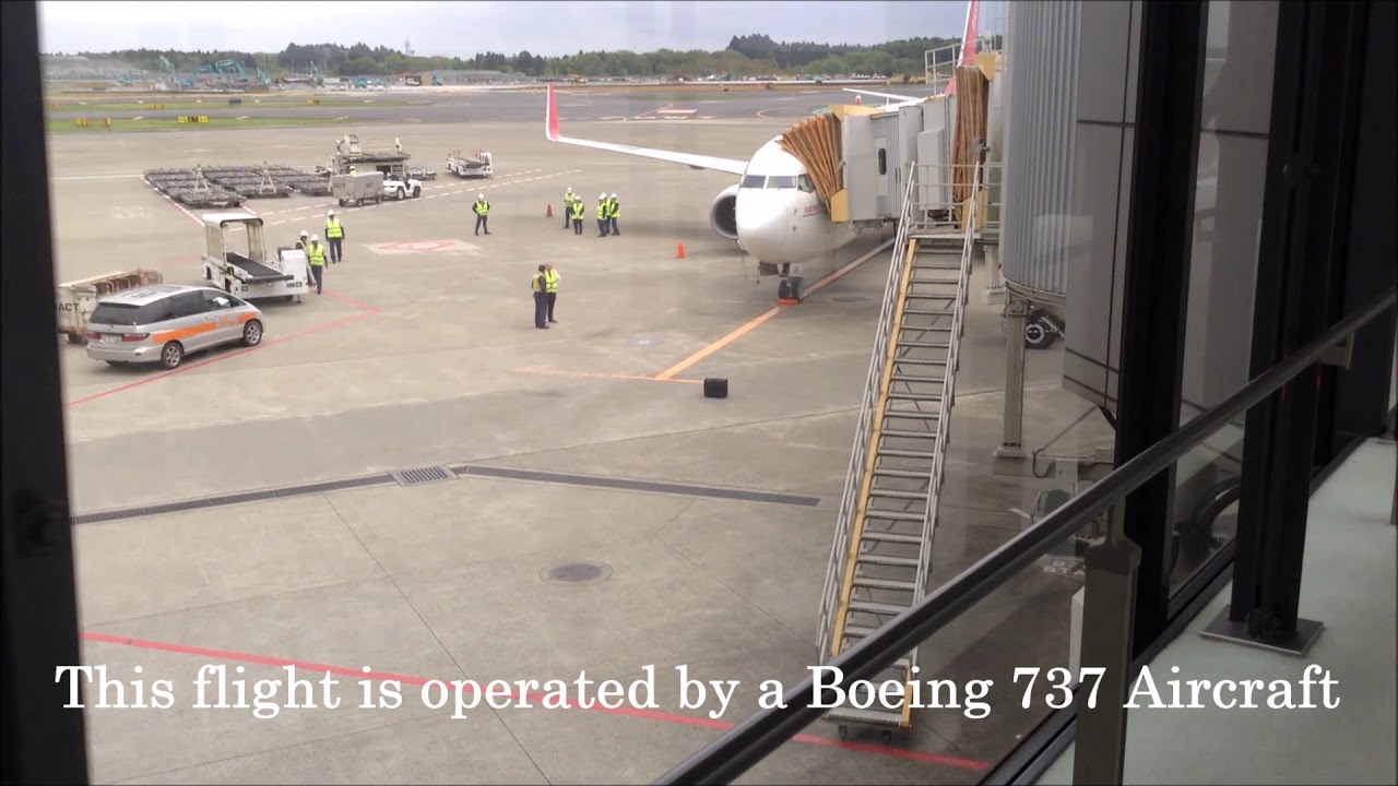 Eastar Jet Asia Regional Flight Report - ZE602 Tokyo NRT ✈ Seoul Incheon