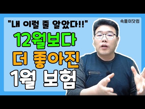 자동차보험확인