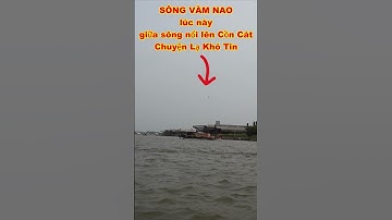 CHUYỆN LẠ SÔNG VÀM NAO NỔI LÊN CỒN CÁT không thể tin nổi quá độc lạ #shorts