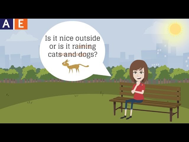 How did the phrase 'it's raining cats and dogs' originate?