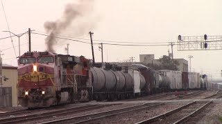 Bakersfield Trains! ~ Feat. BNSF 649 on point, CP, Horn Shows, and MORE!