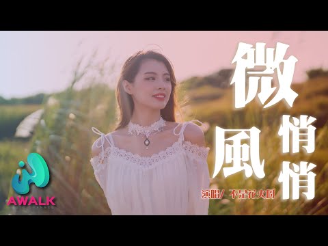 不是花火呀 - 微风悄悄『微风悄悄，吹动发梢，吹动裙角，吹动她的睫毛。』【动态歌词 | Pinyin Lyrics】【十月新歌】【AWALK MUSIC】