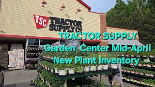 Tractor Supply Garden Center  Mid-April Plant Inventory. Great Prices. GA/8a.