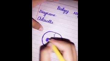 how to make a chlorella diagram💞#shorts#viral# #shorts#