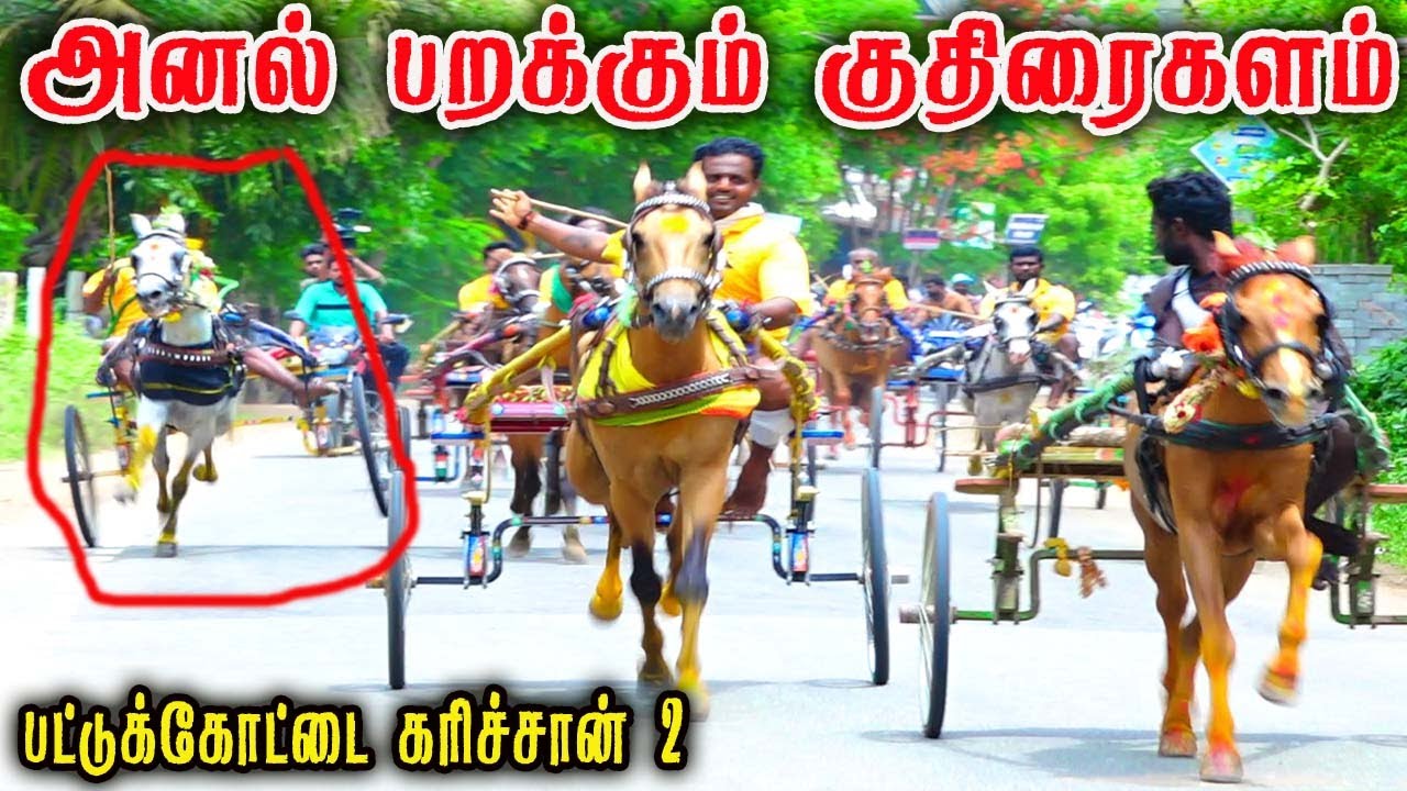 2 கரிச்சான் குதிரை - பட்டுக்கோட்டை பந்தயம் 19.06.2023