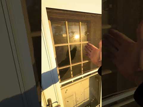 Видео: Shop Door Feature