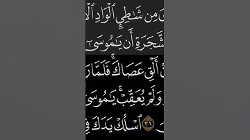 سورة القصص الآية٢٩ الشيخ عبدالله كامل