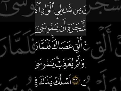 سورة القصص الآية٢٩ الشيخ عبدالله كامل