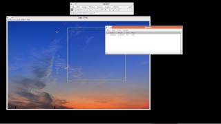 imagej分析RGB值part1 Update