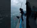 【衝撃】ショアジギで規格外のバケモノ降臨!大物すぎてガチで1ミリも上がってこないんだがwww