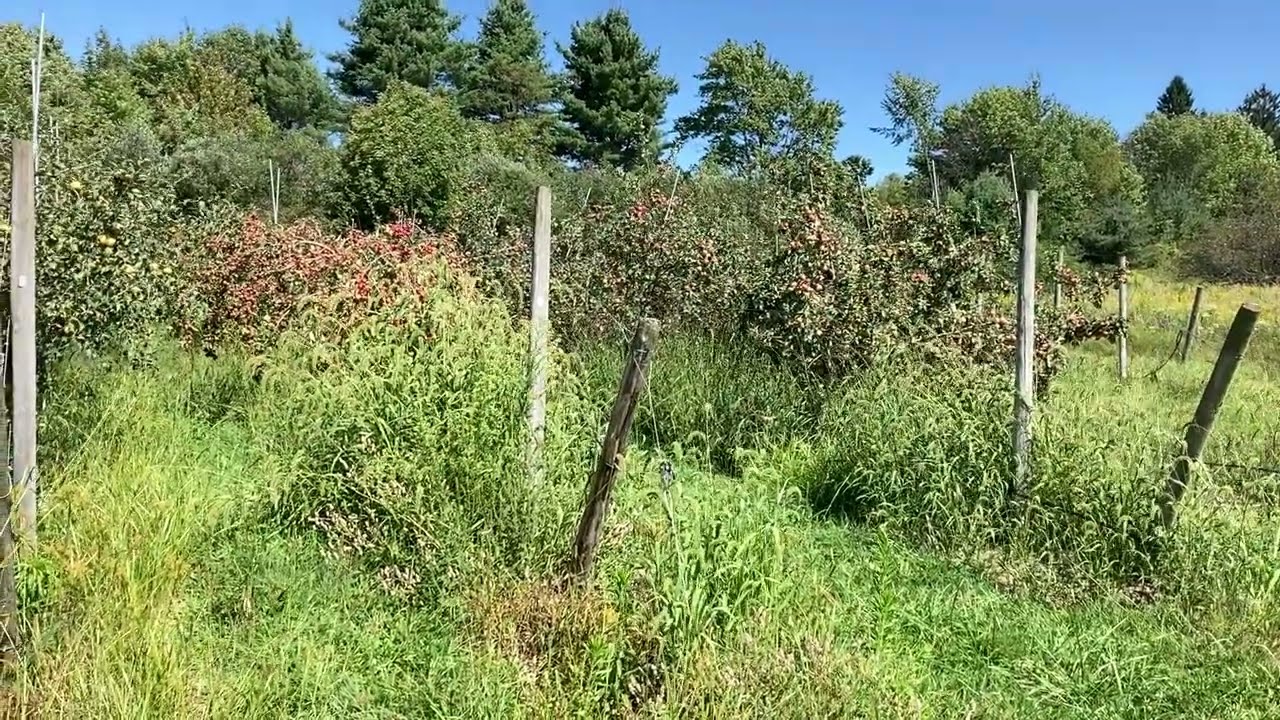 2024 Harvest Season Starts!