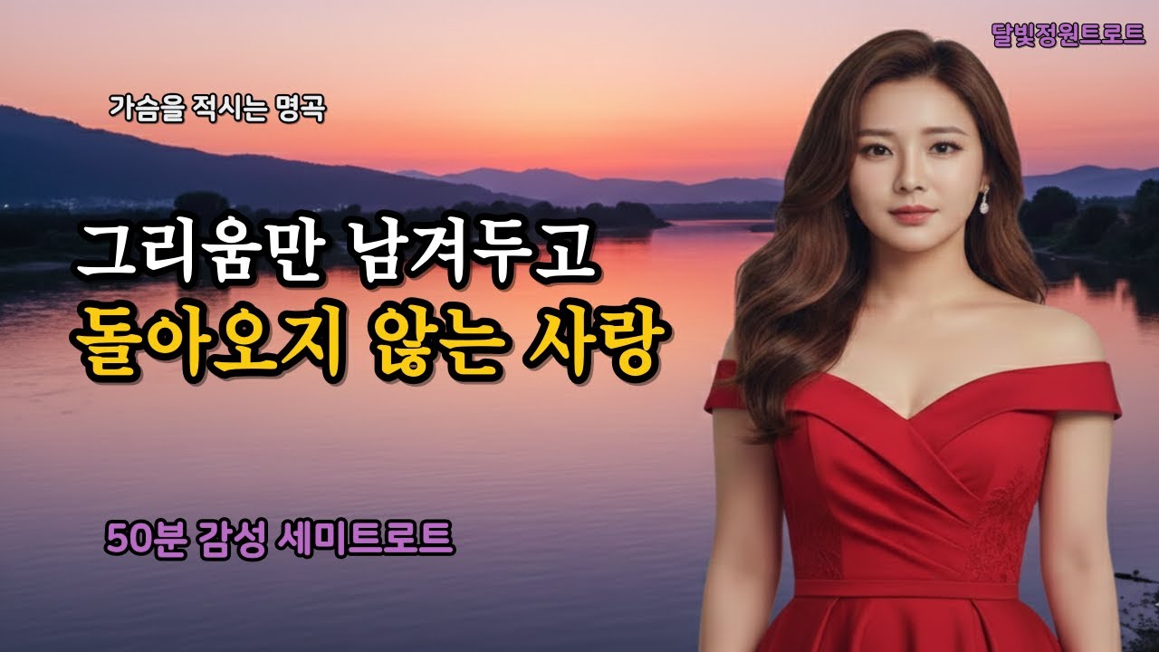 🎧너 없는 하루에 내  마음은 멈춰있어  |  가슴을  적시는 트로트 12곡 메들리 모음