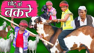 CHOTU DADA KA BADA BAKRA | छोटू का बड़ा बकरा | KHANDESH HINDI COMEDY | CHOTU DADA NEW COMEDY VIDEO