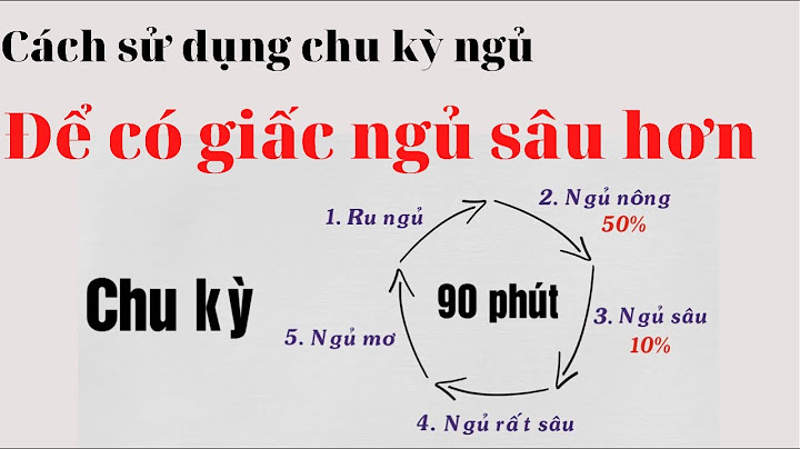 Một chu kỳ ngủ bao nhiêu phút năm 2024