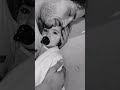 وما المانع إذا خسرت النقاش وكسبت ضحكتها