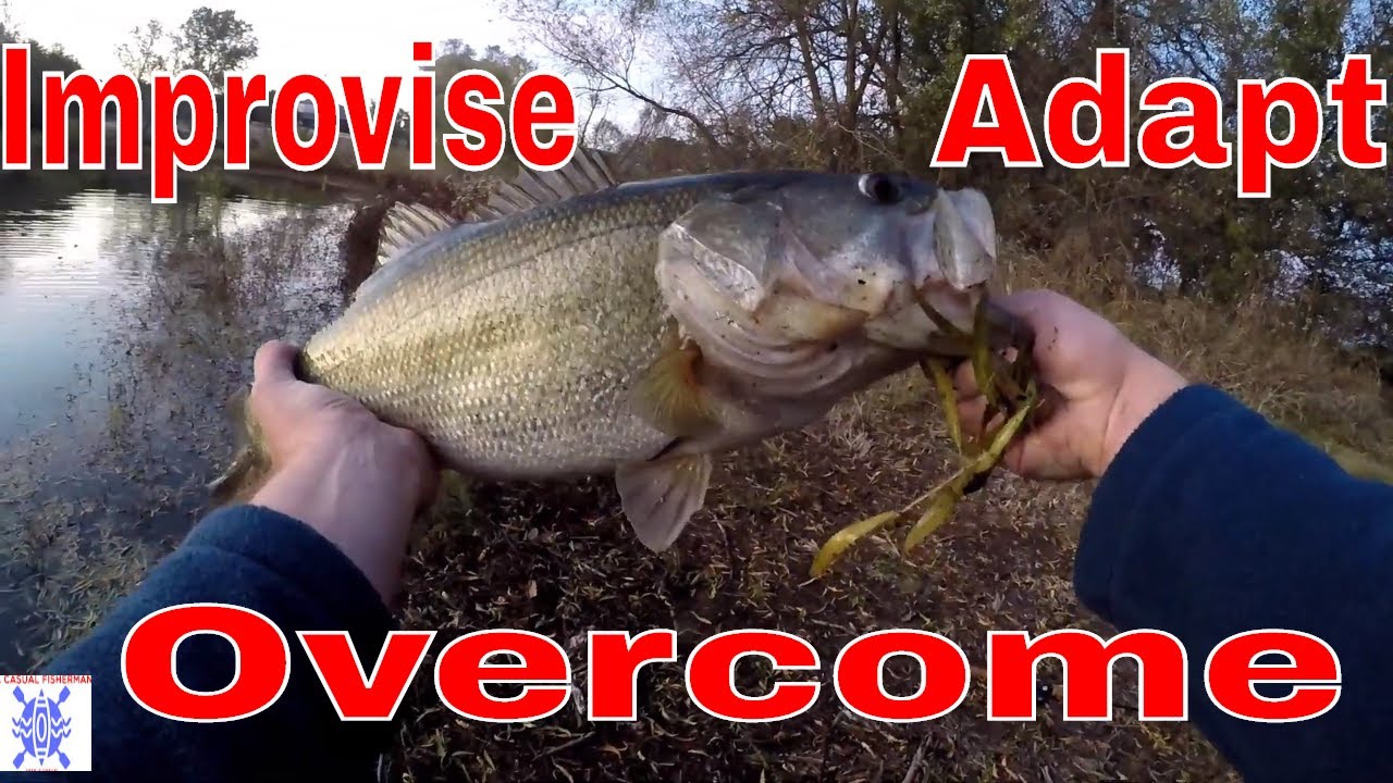 Adapting To Changing Conditions | Late Fall Bass Fishing | BIG BASS CAUGHT!
