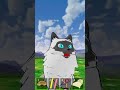 mio mao maya cat