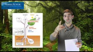 Biologie végétale - Comprendre les plantes - screenshot 4