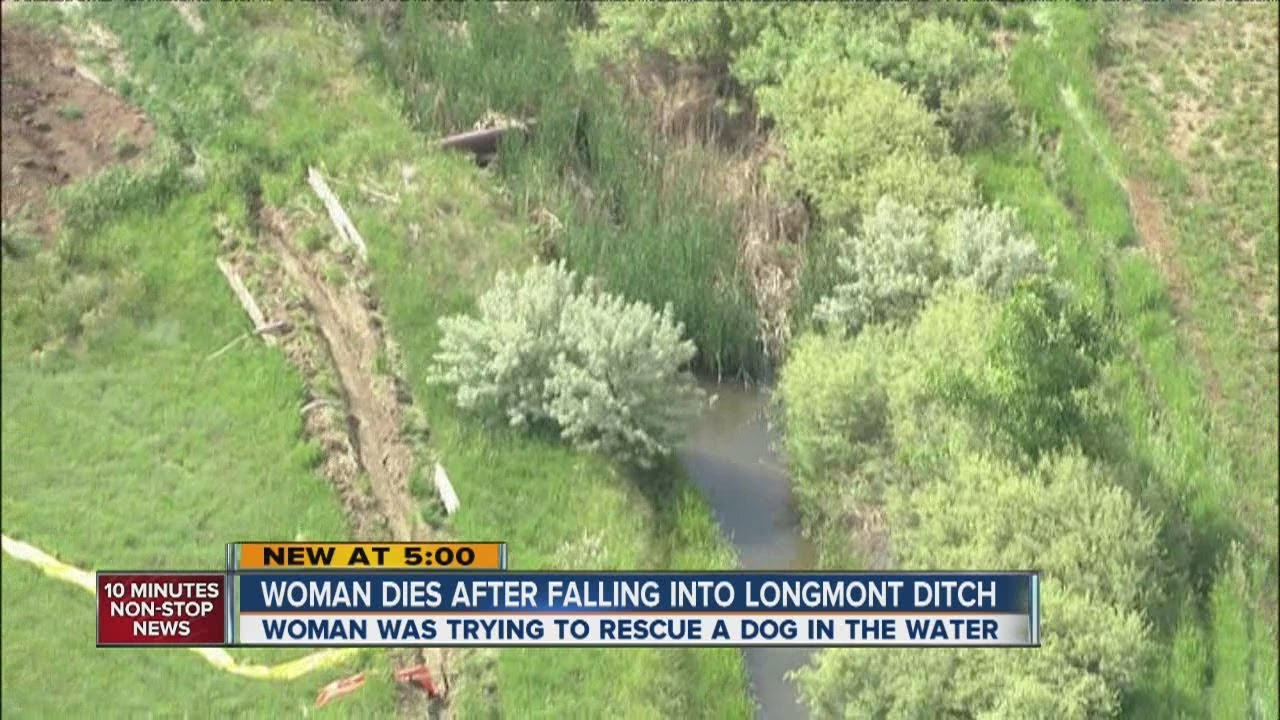 Woman dies trying to rescue dog from water