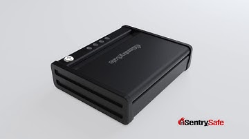 SentrySafe QAP1E Pistol Safe: 360 Degree Overview