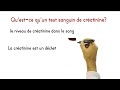 Le test sanguin de cratinine