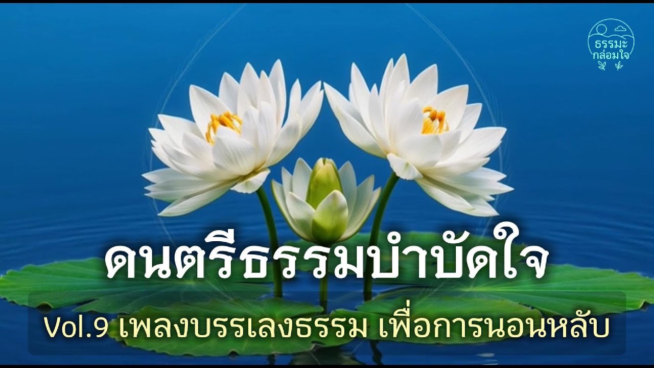 ดนตรีธรรมบำบัดใจ Vol.9 | เพลงธรรมะบรรเลง ช่วยนอนหลับลึก