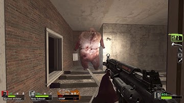 Left 4 Dead 2 Expert Gameplay Sturmgewehr 1960 Wolfenstein New Order Weapon Anim Mod