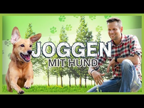 Video: Wie Sie mit Ihrem Hund Joggen gehen