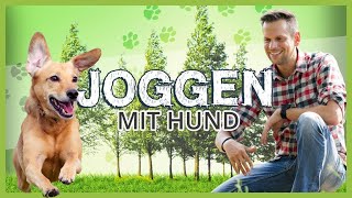 Joggen Mit Hund Mit Diesen Tipps Klappt Es Wirklich